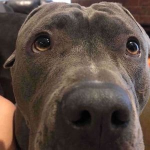 Meet your Posher, Amarah